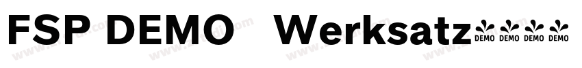 FSP DEMO   Werksatz字体转换